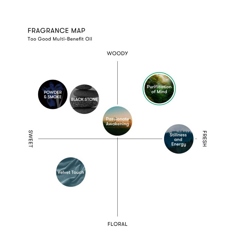 シンピュルテ トゥーグッド マルチベネフィットオイル / Black Stone(新たな自由への道を照らす)