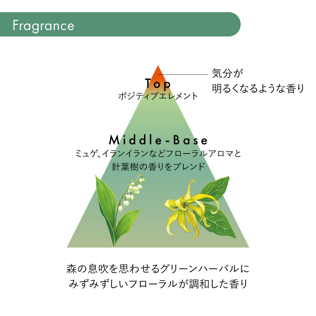 サブリミック フェンテフォルテ シャンプーDD（フケ・かゆみのある頭皮用）